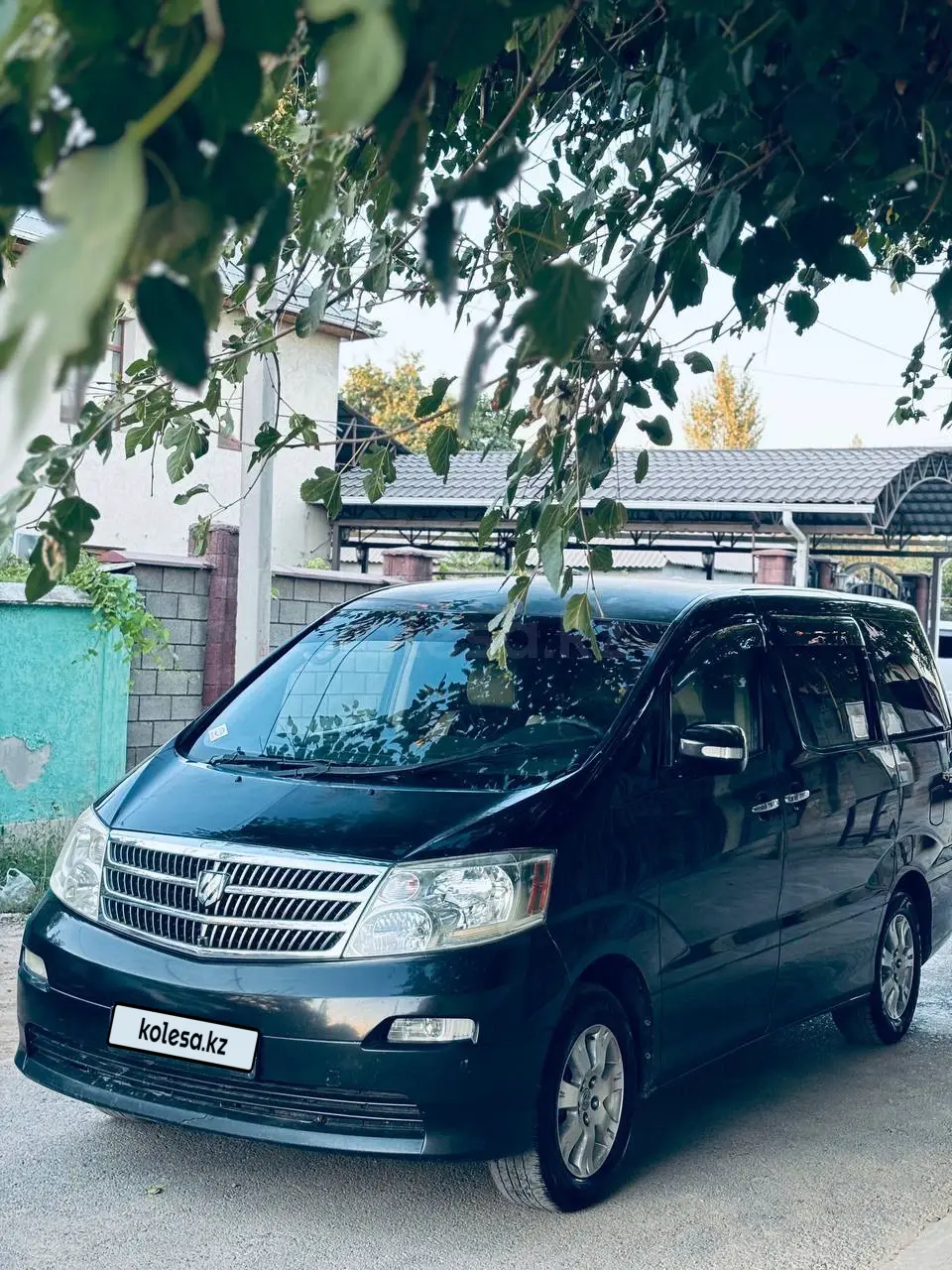 Toyota Alphard, 2004