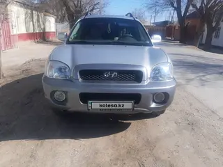 Hyundai Santa FE, 2001