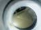 Двигатель 4AFE/7AFE/3SFE/5SFE/1MZ/2MZ/3MZ/F22/F23/VQ20/VQ23/VQ25/VQ30/MR20 за 500 000 тг. в Алматы