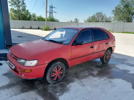 Toyota Corolla 1994 года за 1 350 000 тг. в Алматы – фото 2