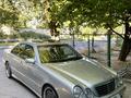 Mercedes-Benz E 55 AMG 2001 годаfor8 500 000 тг. в Шымкент – фото 3