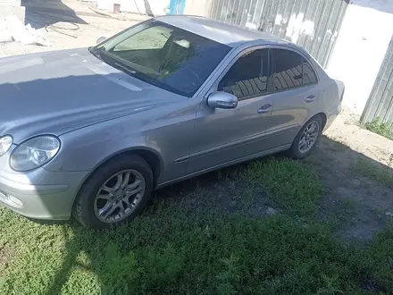 Mercedes-Benz E 240 2002 года за 3 800 000 тг. в Алматы – фото 2