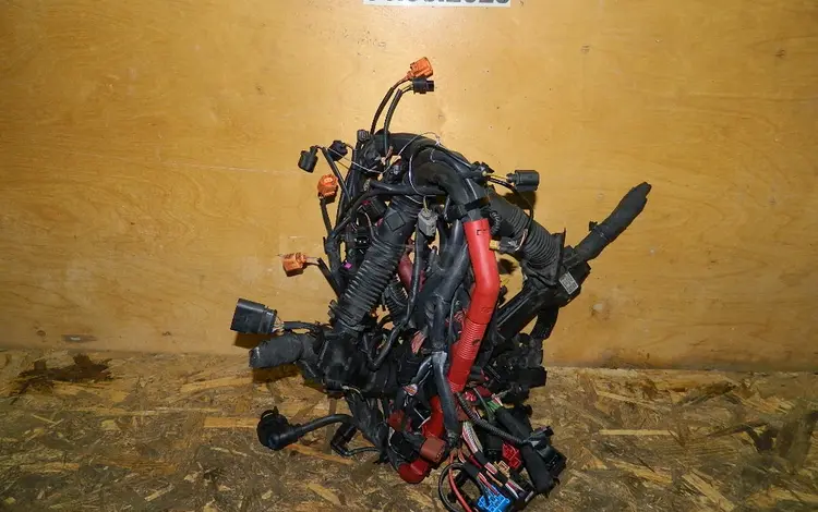 Проводка двигателя 4.2 (fsi) (quattro) (cdra) за 5 000 тг. в Алматы