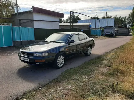 Toyota Camry 1992 года за 1 950 000 тг. в Мерке