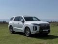 Hyundai Palisade 2025 годаүшін28 950 000 тг. в Астана