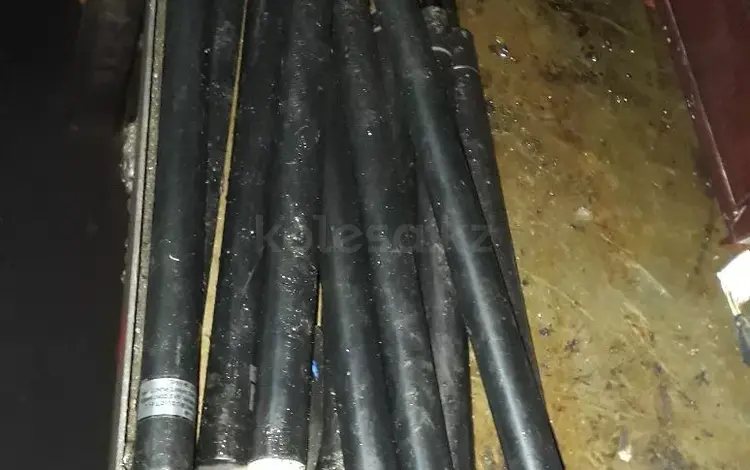 Тартсион привозной за 8 000 тг. в Алматы