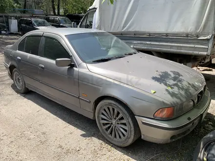 BMW 525 1997 года за 1 800 000 тг. в Алматы – фото 3