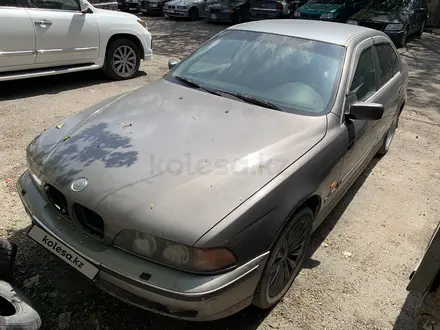 BMW 525 1997 года за 1 800 000 тг. в Алматы