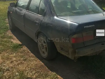 Nissan Primera 1995 года за 500 000 тг. в Кокшетау