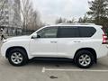 Toyota Land Cruiser Prado 2014 года за 17 900 000 тг. в Павлодар – фото 8