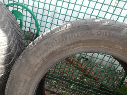 2 колеса зимние кордиант 2летние трианджи за комплект за 20 000 тг. в Тараз – фото 3