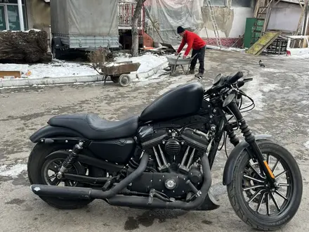 Harley-Davidson  Sportster 883 2015 года за 4 700 000 тг. в Алматы – фото 6