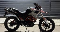 Fuego  Tekken 250 2025 года за 700 000 тг. в Павлодар