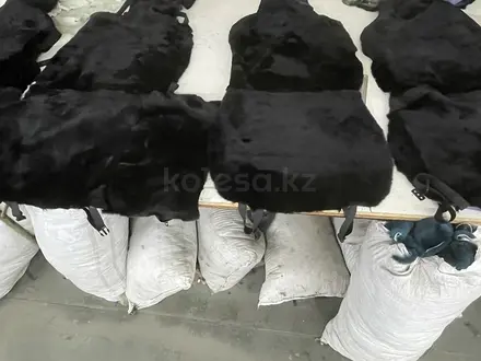 Меховые накидки на сидения за 45 000 тг. в Алматы – фото 20