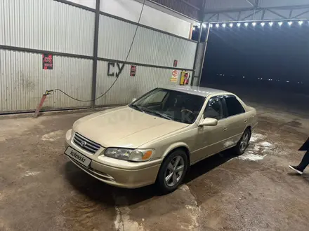 Toyota Camry 2000 года за 3 500 000 тг. в Алматы