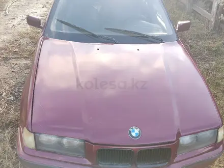 BMW 316 1996 года за 950 000 тг. в Караганда – фото 7