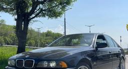 BMW 525 1999 годаүшін3 950 000 тг. в Алматы – фото 3