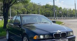 BMW 525 1999 годаүшін3 950 000 тг. в Алматы – фото 4