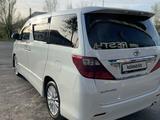 Toyota Alphard 2010 года за 13 500 000 тг. в Шымкент – фото 2