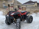 Yamaha  Grizzly 250 2020 годаfor550 000 тг. в Каскелен – фото 2