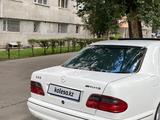 Mercedes-Benz E 55 AMG 2001 годаүшін6 200 000 тг. в Алматы – фото 4