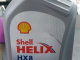 Масло Shell 5W-40, HX8, 1л, синтетика за 5 500 тг. в Караганда
