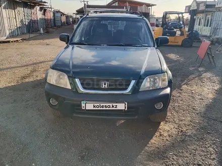 Honda CR-V 2001 года за 3 200 000 тг. в Алматы – фото 2
