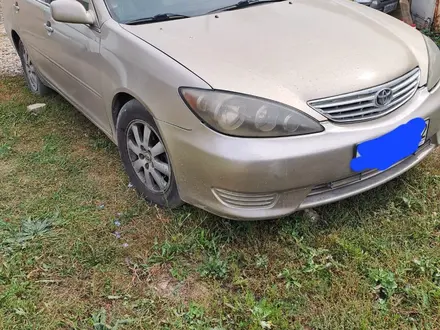 Аренда Авто Camry в Алматы