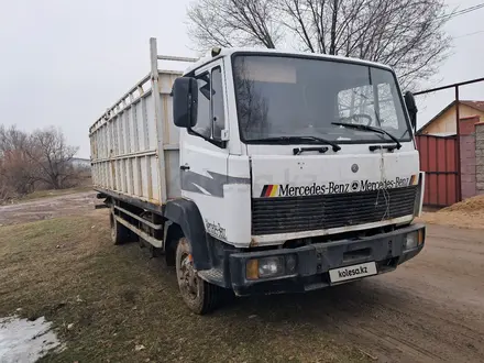 Mercedes-Benz  817 1992 года за 6 500 000 тг. в Алматы – фото 2