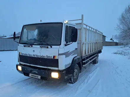 Mercedes-Benz  817 1992 года за 6 500 000 тг. в Алматы – фото 20