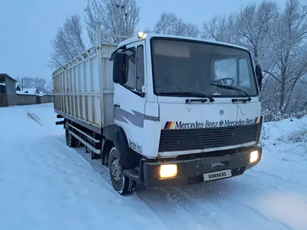 Mercedes-Benz  817 1992 года за 6 500 000 тг. в Алматы – фото 21