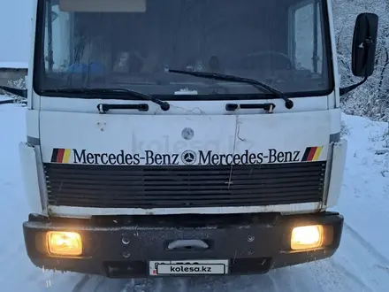 Mercedes-Benz  817 1992 года за 6 500 000 тг. в Алматы – фото 22