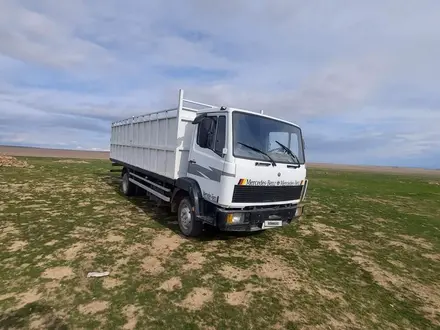 Mercedes-Benz  817 1992 года за 6 500 000 тг. в Алматы – фото 28