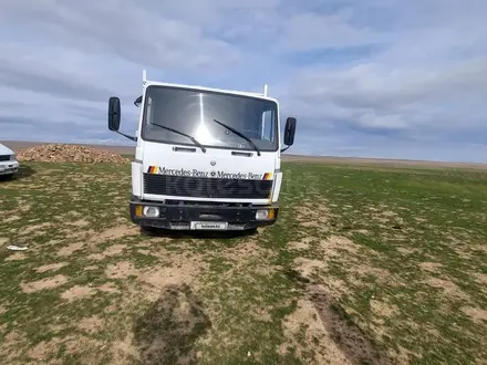 Mercedes-Benz  817 1992 года за 6 500 000 тг. в Алматы – фото 31
