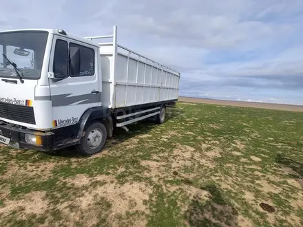Mercedes-Benz  817 1992 года за 6 500 000 тг. в Алматы – фото 32