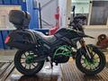 мотоцикл TEKKEN 300 R LINE PRO 2024 года за 1 030 000 тг. в Костанай – фото 5