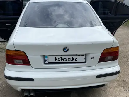 BMW 530 2003 года за 5 500 000 тг. в Алматы – фото 17