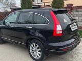 Honda CR-V 2011 года за 7 000 000 тг. в Алматы – фото 5