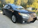 Toyota Camry 2010 года за 5 900 000 тг. в Туркестан – фото 2