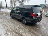 Toyota Alphard 2012 года за 11 500 000 тг. в Тараз