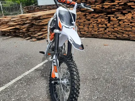 Kayo  PITBIKE TT125 17/14 2023 года за 550 000 тг. в Караганда – фото 3