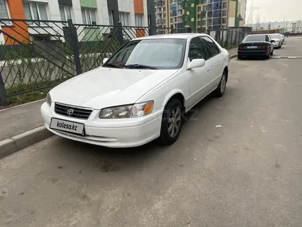 Toyota Camry 2001 года за 3 735 000 тг. в Алматы