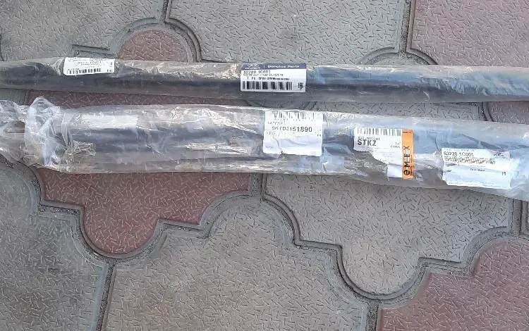 Молдинги стекла дверей за 20 000 тг. в Алматы