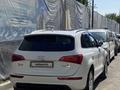 Audi Q5 2010 года за 6 800 000 тг. в Алматы – фото 4