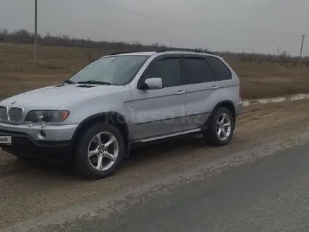 BMW X5 2002 года за 6 000 000 тг. в Усть-Каменогорск – фото 4