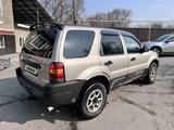 Ford Escape 2001 годаүшін2 500 000 тг. в Алматы – фото 4