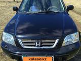 Honda CR-V 1999 годаүшін3 200 000 тг. в Кокшетау