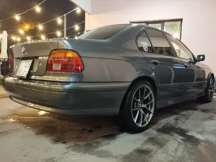 BMW 530 2002 года за 5 000 000 тг. в Тараз – фото 6