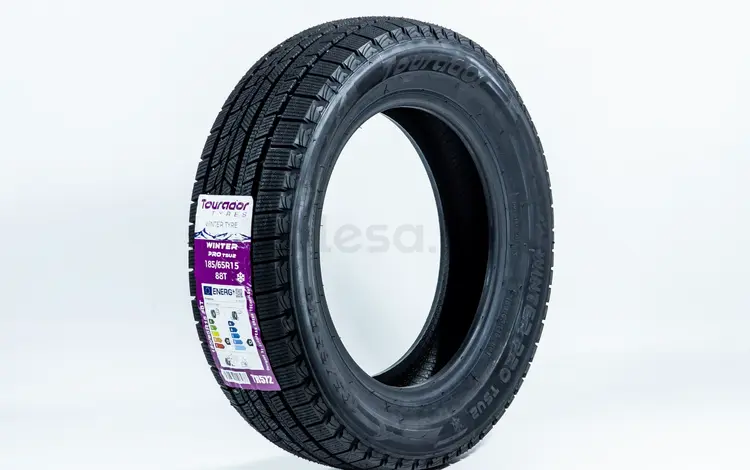 185/65R15 88T — Tourador WINTER PRO TSU2 за 20 000 тг. в Алматы
