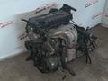 Двигатель (ДВС) 2AZ-FE на Тойота Камри 2.4 за 550 000 тг. в Актау – фото 4